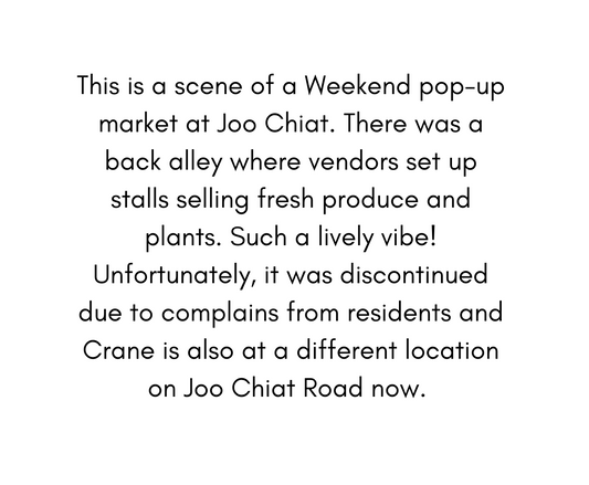 Joo Chiat Back Alley | A5 Sketch