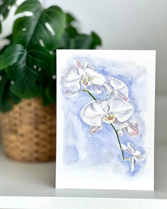 White Orchids | 21cm x 15cm