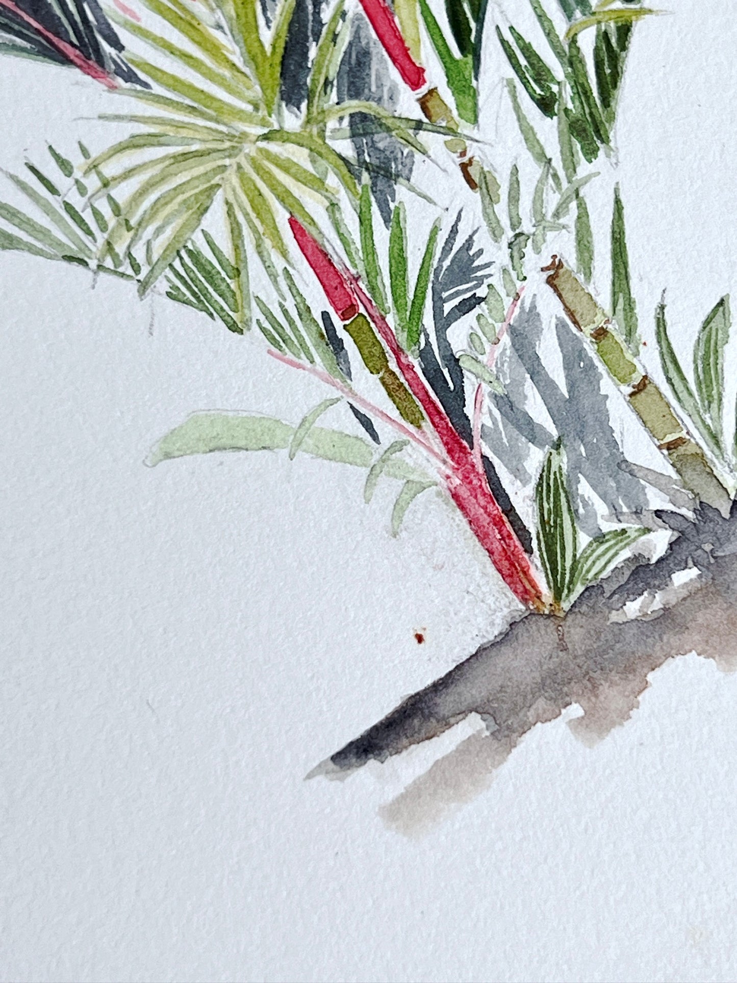 Lipstick Palm | 26cm x 18.5cm