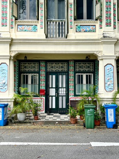 Original Artwork - Petain Road Shophouse, 2025